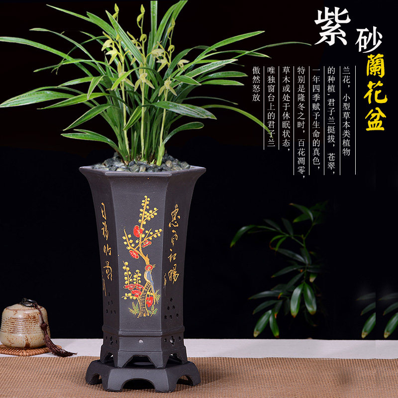 宜兴紫砂花盆君子兰花盆吊兰带托盘六角陶瓷花盆室内阳台兰花专盆