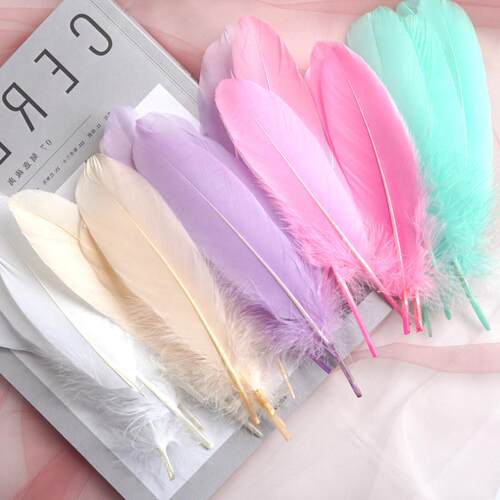 Natural Goose Feathers Plumes 1520cm Colourful Swan Feather