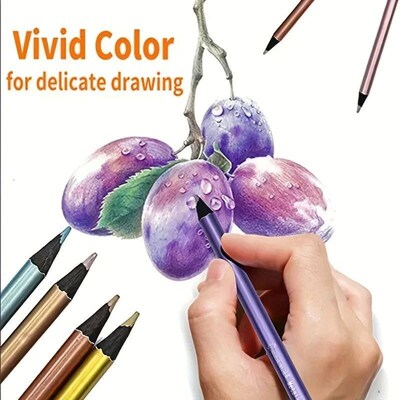 Roise 12 Color Metallic Colored Pencils Drawing Sketching Se