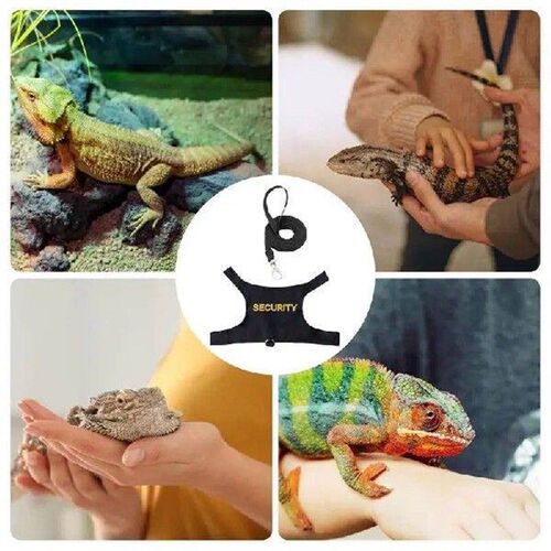 Lizard Leashes Bearded Dragon Comfortable Adjustable Lizard