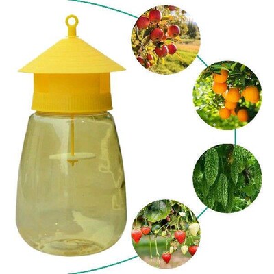 Fruit Fly Trap Killer Fruit Fly Catcher with Hanging Hole