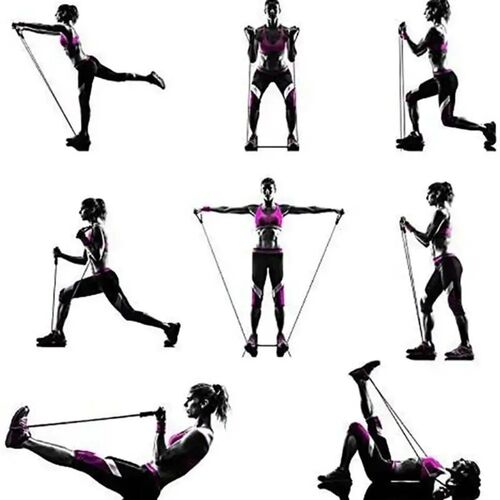 Resistance Bands With Handles, Exercise Bands, Workout Bands