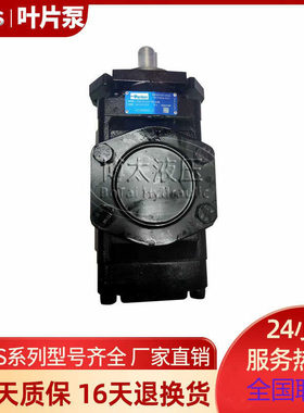 ParKer丹尼逊T7DDS E42 E42 1R00 A1M0双联叶片泵T7DS伺服泵电动