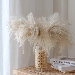 僮烨蒲芦扇苇藤编透明玻璃花瓶组TY674687合民扇芦苇宿蒲店铺软装