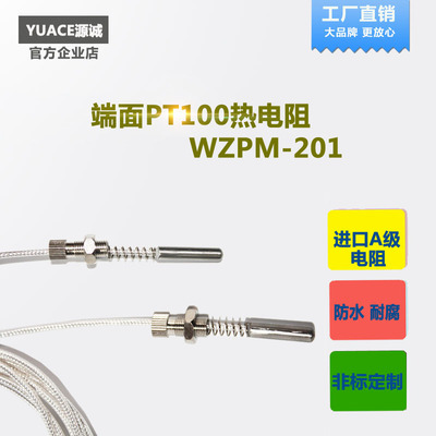 高精度防水端面热电阻pt100温度传感器测温探头wzpm-201变送器