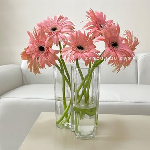 湖泊花瓶高级感水培绿植客厅餐桌摆件玻璃鲜花插花瓶不规则