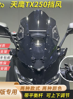 适合天鹰TX250标准版挡风后视镜前移可升降风挡加高加厚送平衡杆