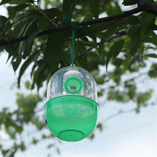 Hanging Beekeeping Catcher Cage Reusable Wasp Trap Wasps
