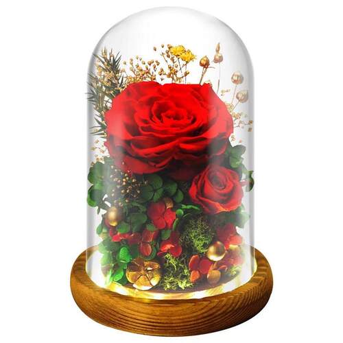 Eternal Flower Glass Cover Gift Box Dried Flower Rose Valent