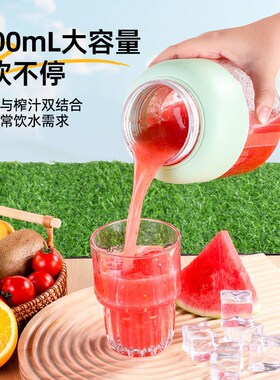 LOYK德国榨汁机果蔬榨汁杯小型便携式榨汁桶吨吨杯果汁机可碎冰