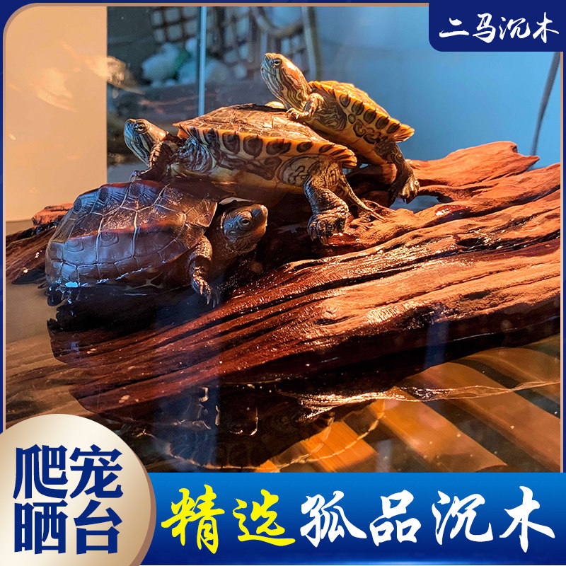 [二马]ADA水族装饰鱼缸造景沉木乌龟晒台爬台 龟缸晒台 摆件底座
