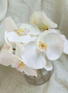 高品质手感单头白色蝴蝶兰仿真花客厅兰花假花摆件餐桌装饰花配材