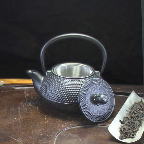 Iron Tea Pot with Stainless Steel Infuser Cast Iron Teapot