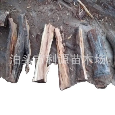 供应烤鸭店枣木劈柴烤鸭枣木烤鸭柴  供应枣木柴 供应果木 果木柴
