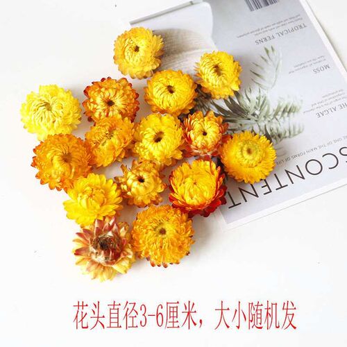 Wheat straw cysanthemum flower head dried flower colorful cy
