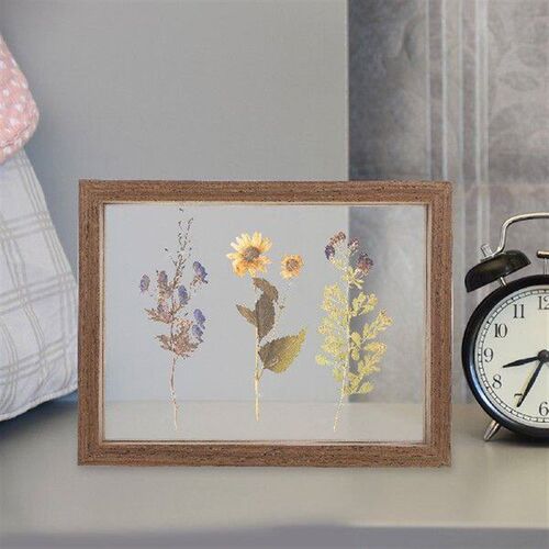 8 Inch Pressed Flower Display Double Glass Specimen Picture