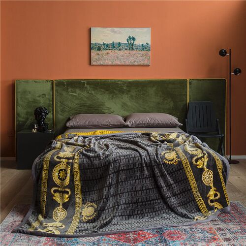 Thickened double-layer coral fleece anti-static blanket