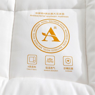 Student Dormitory Mattress Topper Pad Single Double Bed Twin