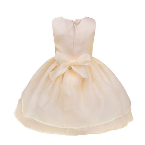 Summer European Girls Dress Babys Princess Gown for 100 Days