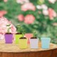 Seedling Colorful Pots Rectangular Saving Space Pcs