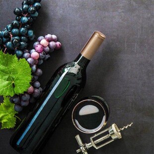 Novelty Sealing Heat Shrink Capsules Cap Small Wine Bottle