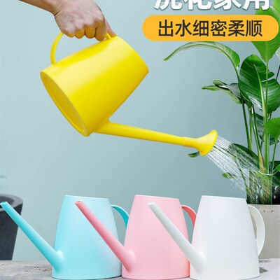 plant watering can small sprayer lovely family creative