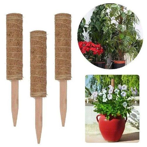Plant Vine Traction Climbing t Natural Coconut Palm Rod
