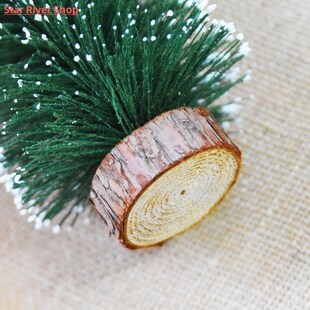 Christmas Cedar Home Roo Small For Tree Xmas Decoration Pine