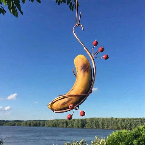 2 Piece Outdoor Hanging Butterfly Feeder As Shown Metal For