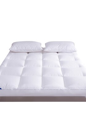 Thick 10cm soft mattress cushion foldable floor tatami mat