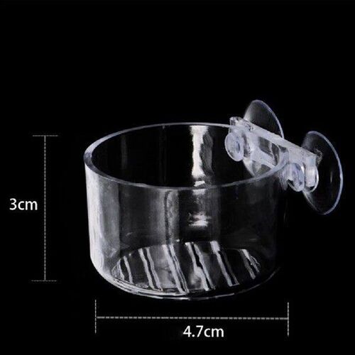 Practical Fish Feeding Container with Suction Cup Acrylic