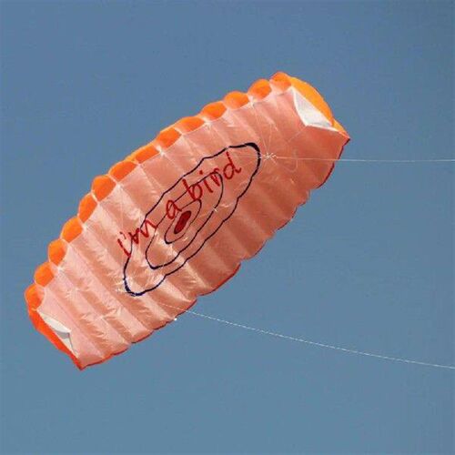 Two Strings Kites Professional Large 1.4m Power Braid