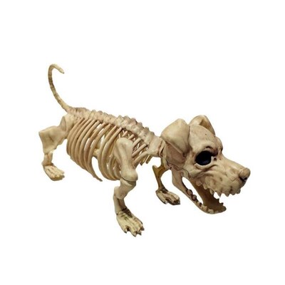 Halloween Horror skull animal skeleton haunted house setup