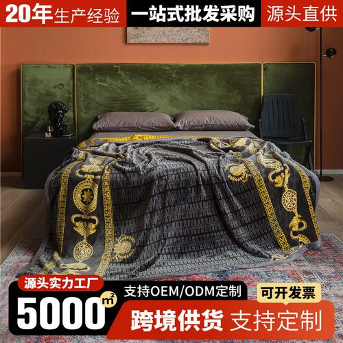 Thickened double-layer coral fleece anti-static blanket