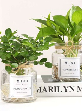 European-style Simple Desktop Small Vase Transparent Glass H