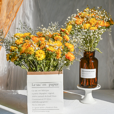 云南小雏菊满天星干花花束真风干天然diy野餐麦秆菠萝菊装饰摆件