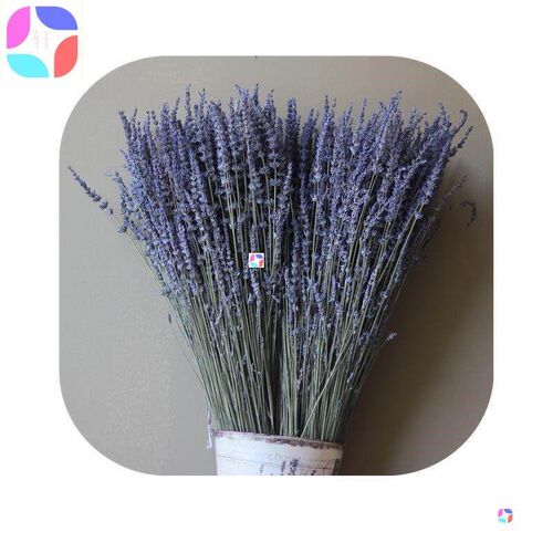 lavender dried flower bouquet natural dried flower lavender
