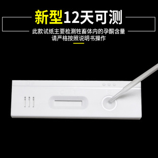 母猪测孕测试纸试盒 猪用怀孕测试试纸 奶牛怀孕检测卡测试纸
