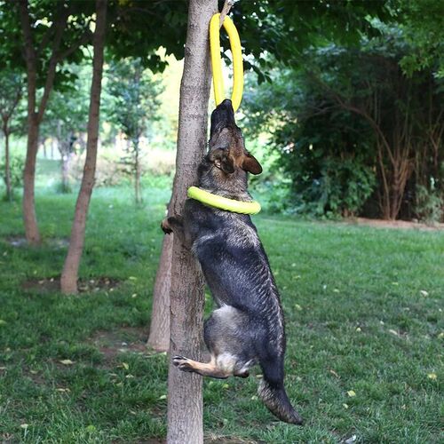 18/27CM Dog Toys for Large Dogs EVA Interactive Training Rin