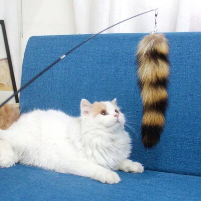 Funny Pet Cat  Fox Hair Replacement Head Good Toughness Feat
