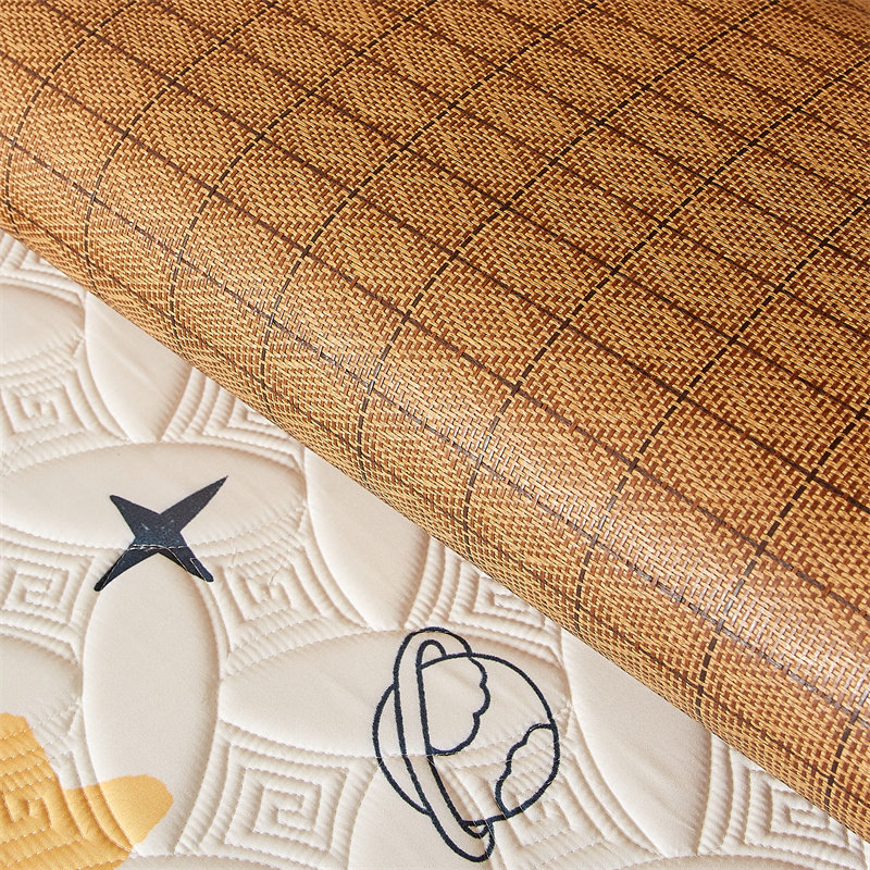 学生宿舍夹棉床垫单人床褥软垫卧室人凉席面可用卡通地铺睡垫,床上用品,藤席,淘宝优惠券,粉丝福利购,淘宝优惠卷