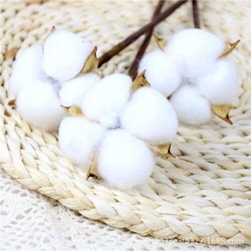 Simulation Flower Cotton Natural Dried Flowers Wedding Home