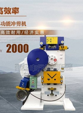 丰行 幕墙干挂槽钢切断冲孔一体机 联合冲剪机 多功能角钢剪切机