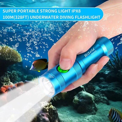 HISWN DM006 Professional diving flashlight 1050LM 10W high p