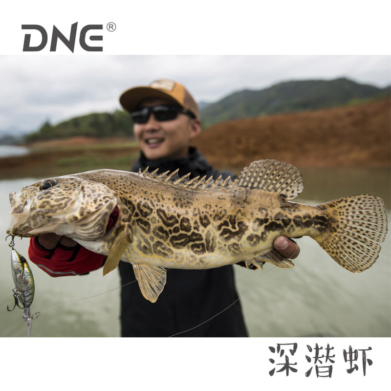 22款DNE深潜虾去路亚远投浮水米诺鱼饵翘嘴鳜鱼鲈鱼饵路亚假饵,户外/登山/野营/旅行用品,路亚饵,淘宝优惠券,粉丝福利购,淘宝优惠卷