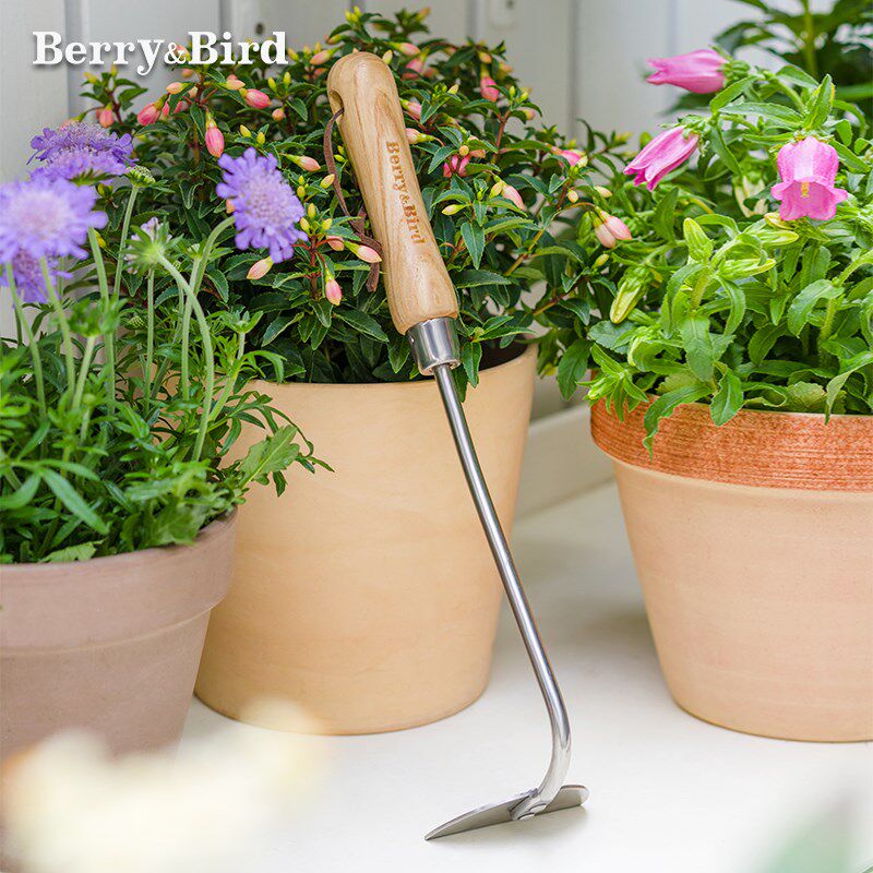BerryBird洋葱耙家用种花种菜挖土松土除草不锈钢耙子实木不锈钢