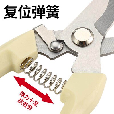Garden shears specifically designed for pruning, ideal for g