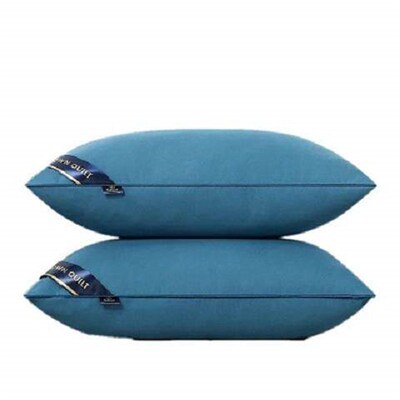 Pillow Healthy pillows feather velvet hotel pillow for bed