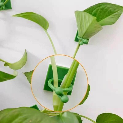 Green vine climbing fixator, wall-mounted green vine plant c