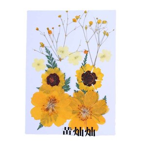 Dried Flower Baffle Material Bag Face Embossed Photo Leaf P